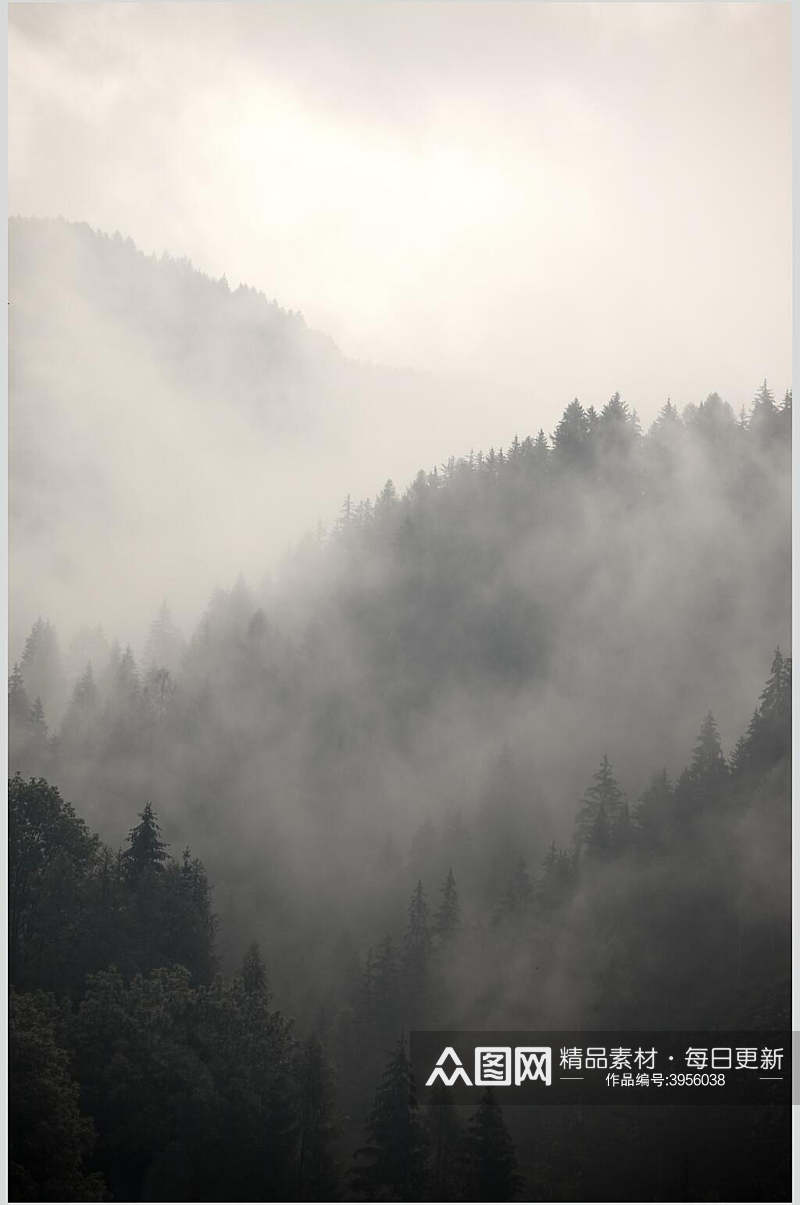 意境山间树木天空优雅薄雾森林图片素材