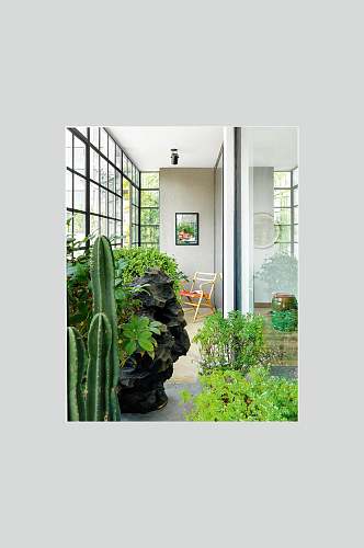 高级感创意优雅植物新中式室内图片