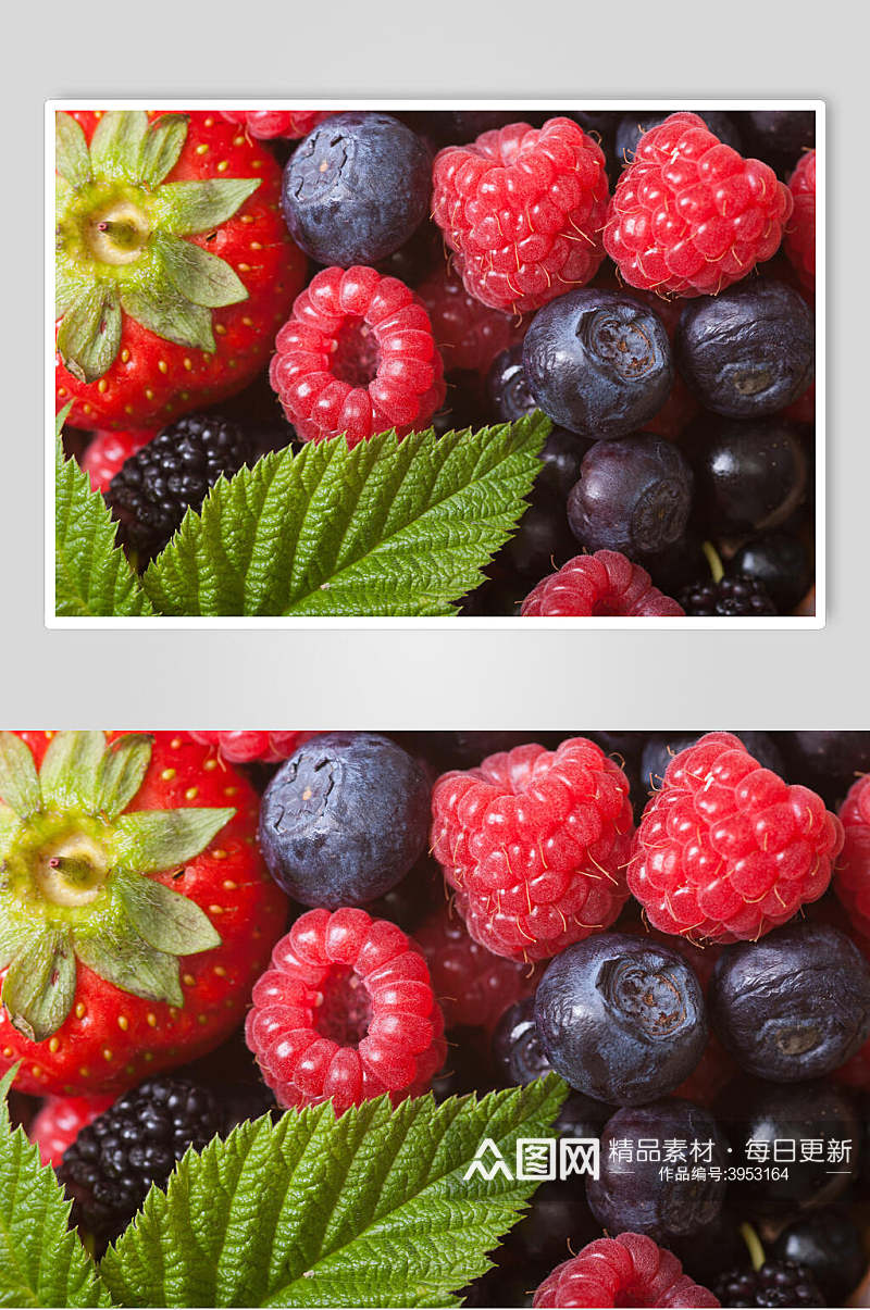 优雅叶子草莓葡萄红绿浆果水果图片素材