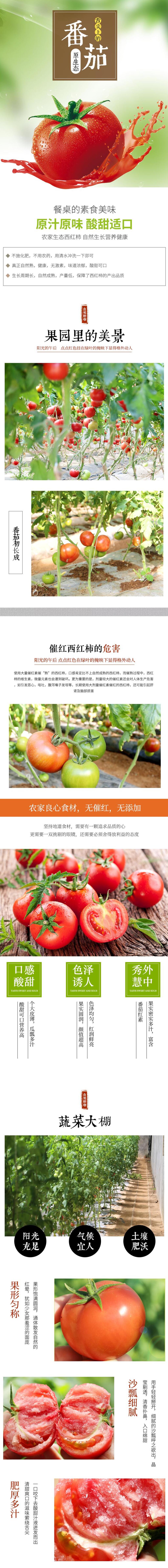 番茄水果手機版電商詳情頁素材