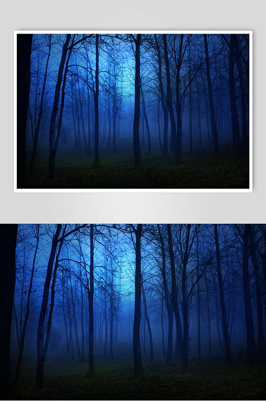 黑蓝渐变大气高端清新薄雾森林图片