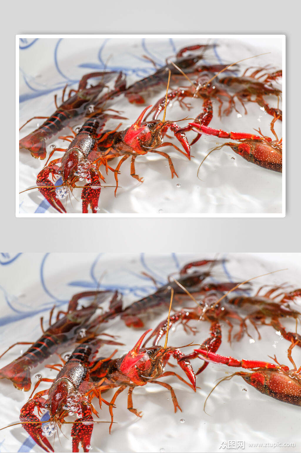 生龙活虎小龙虾美食图片素材