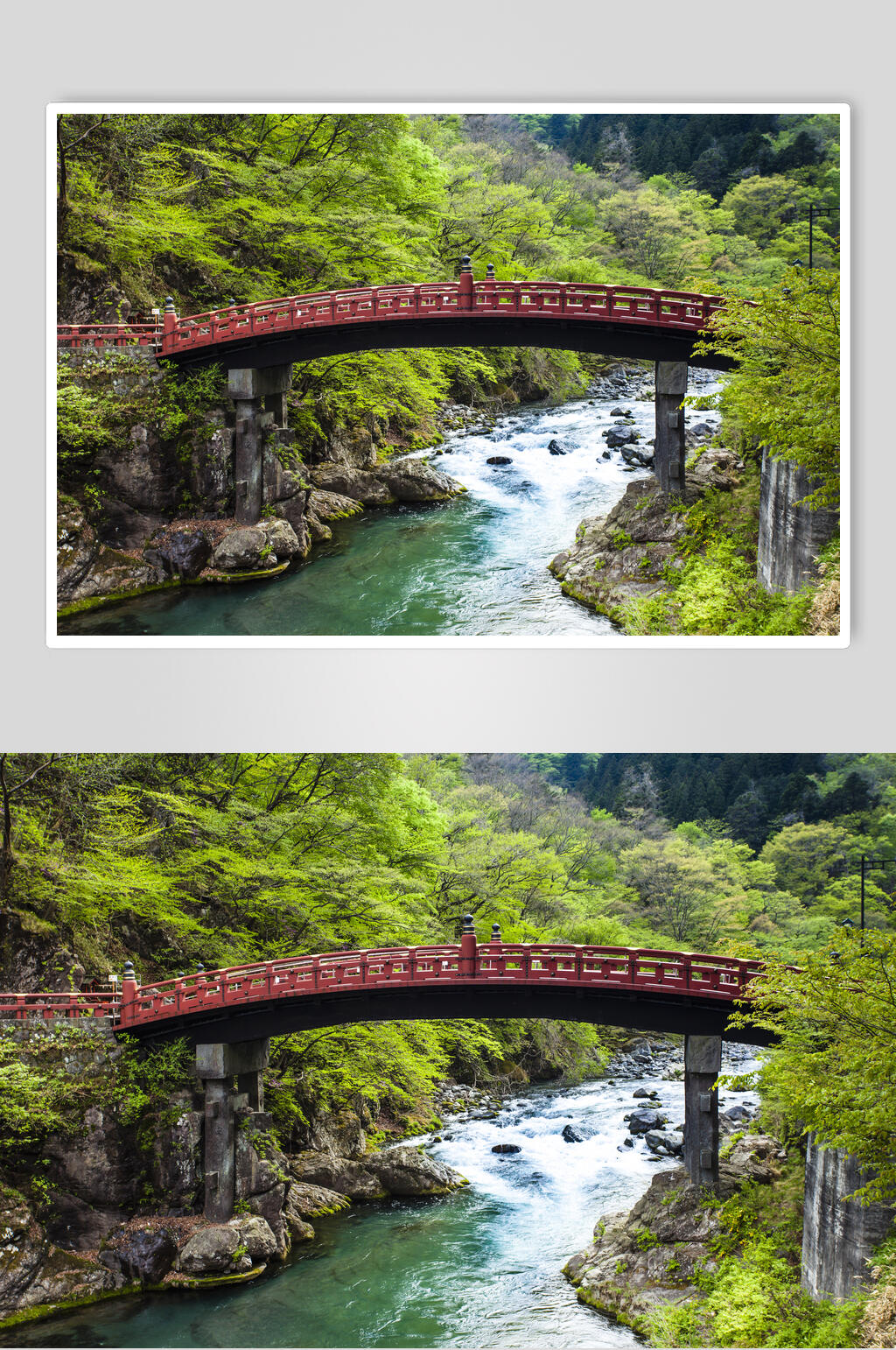 流水木桥林荫小道图片素材
