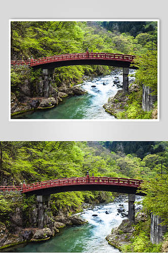 流水木桥林荫小道图片