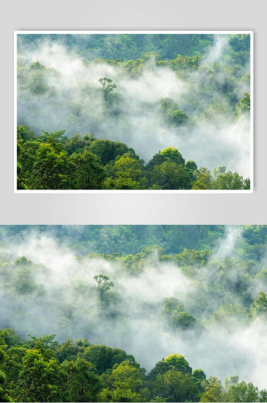 薄雾船舶图片-薄雾船舶素材下载-众图网