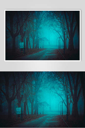意境静谧道路路牌树木薄雾森林图片