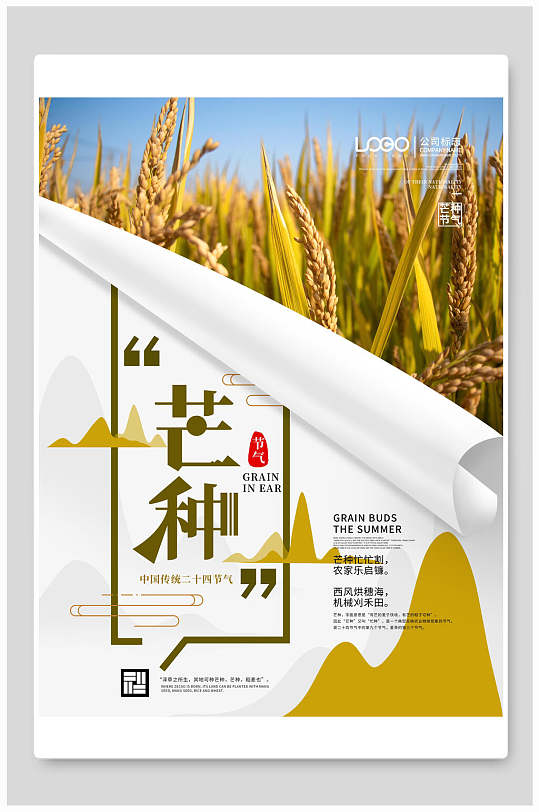 水稻丰收芒种海报