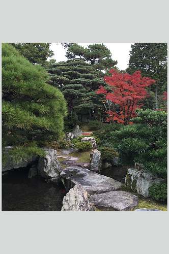 绿色树木创意高端石头日式庭院图片