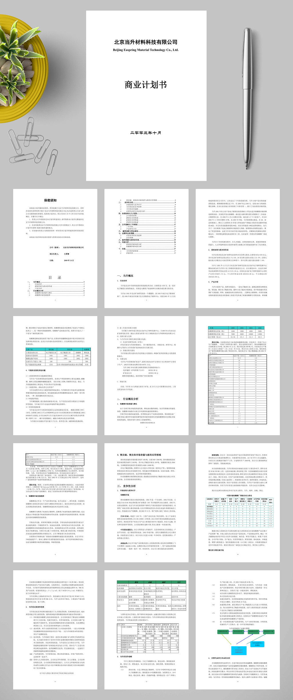 北京当升材料科技有限公司商业计划书WORD素材