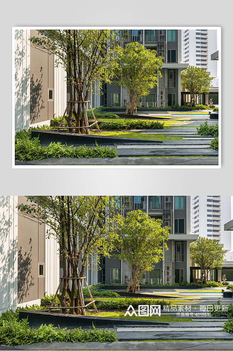 阳光绿色树木露台设计图片素材