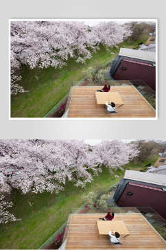 创意唯美时尚樱花日式独栋别墅图片