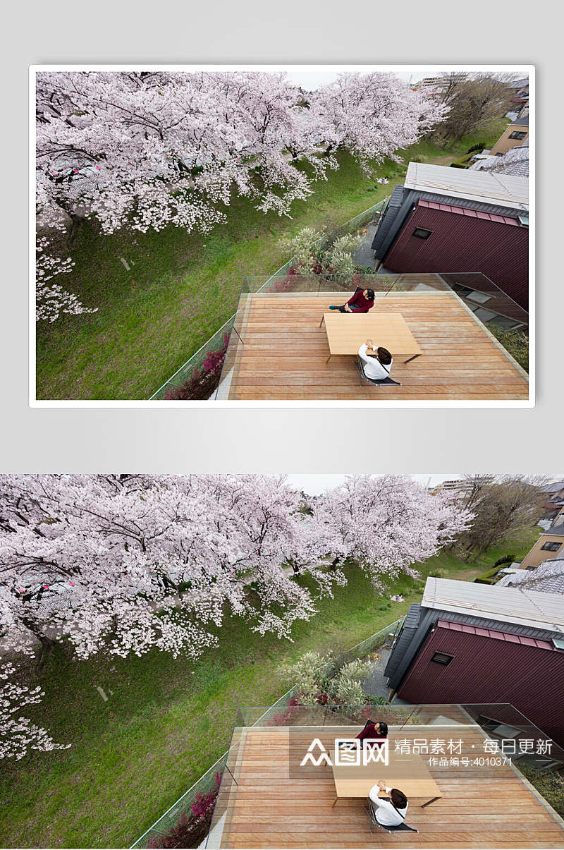 创意唯美时尚樱花日式独栋别墅图片素材