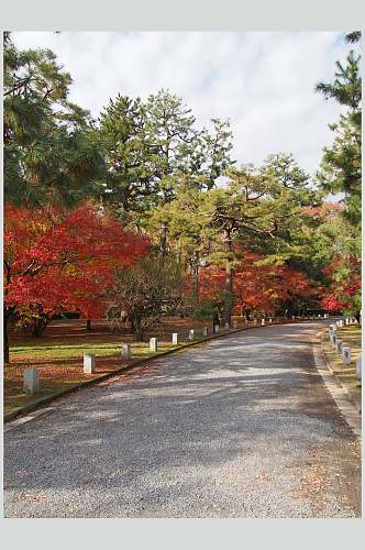 小清新道路日式庭院图片