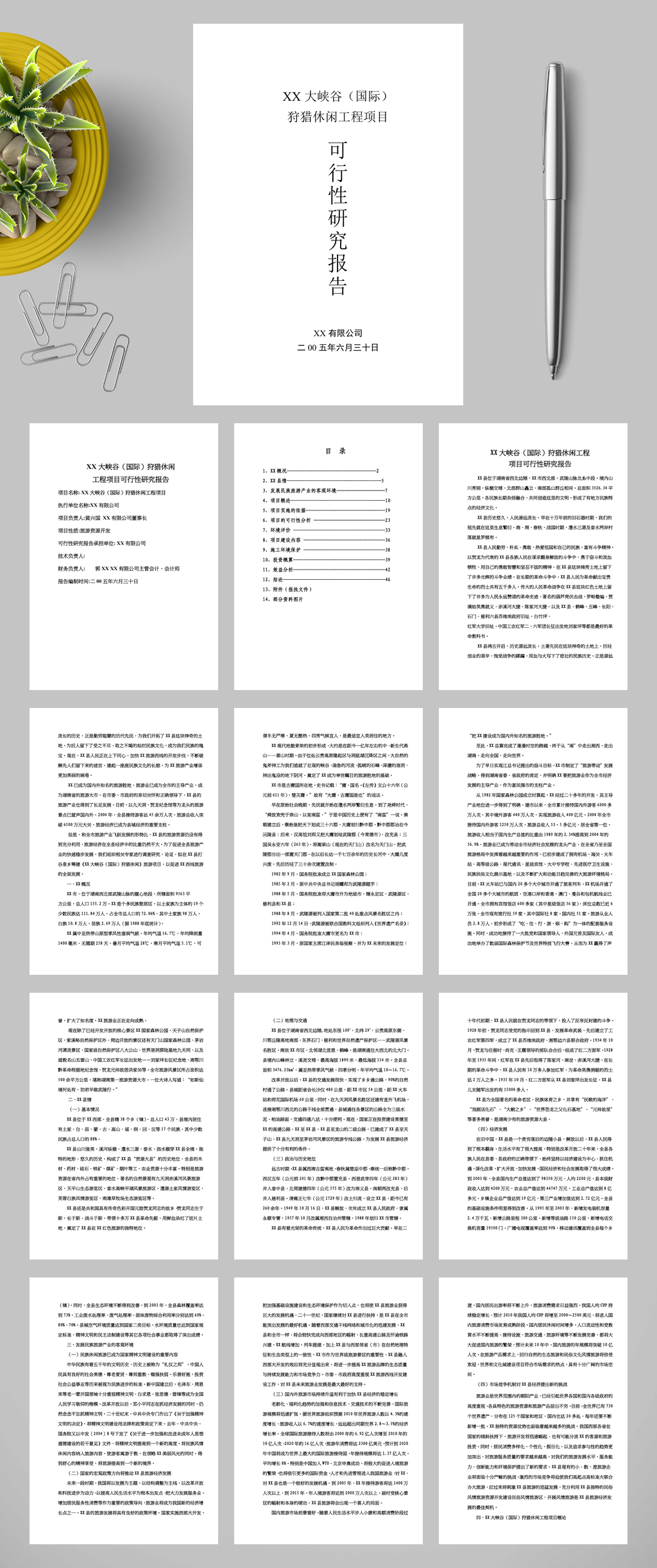 XX大峡谷国际狩猎休闲工程项目WORD素材
