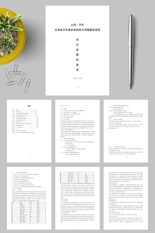 江西省XXX县农业科技示范园建设项目可行性研究报告WORD