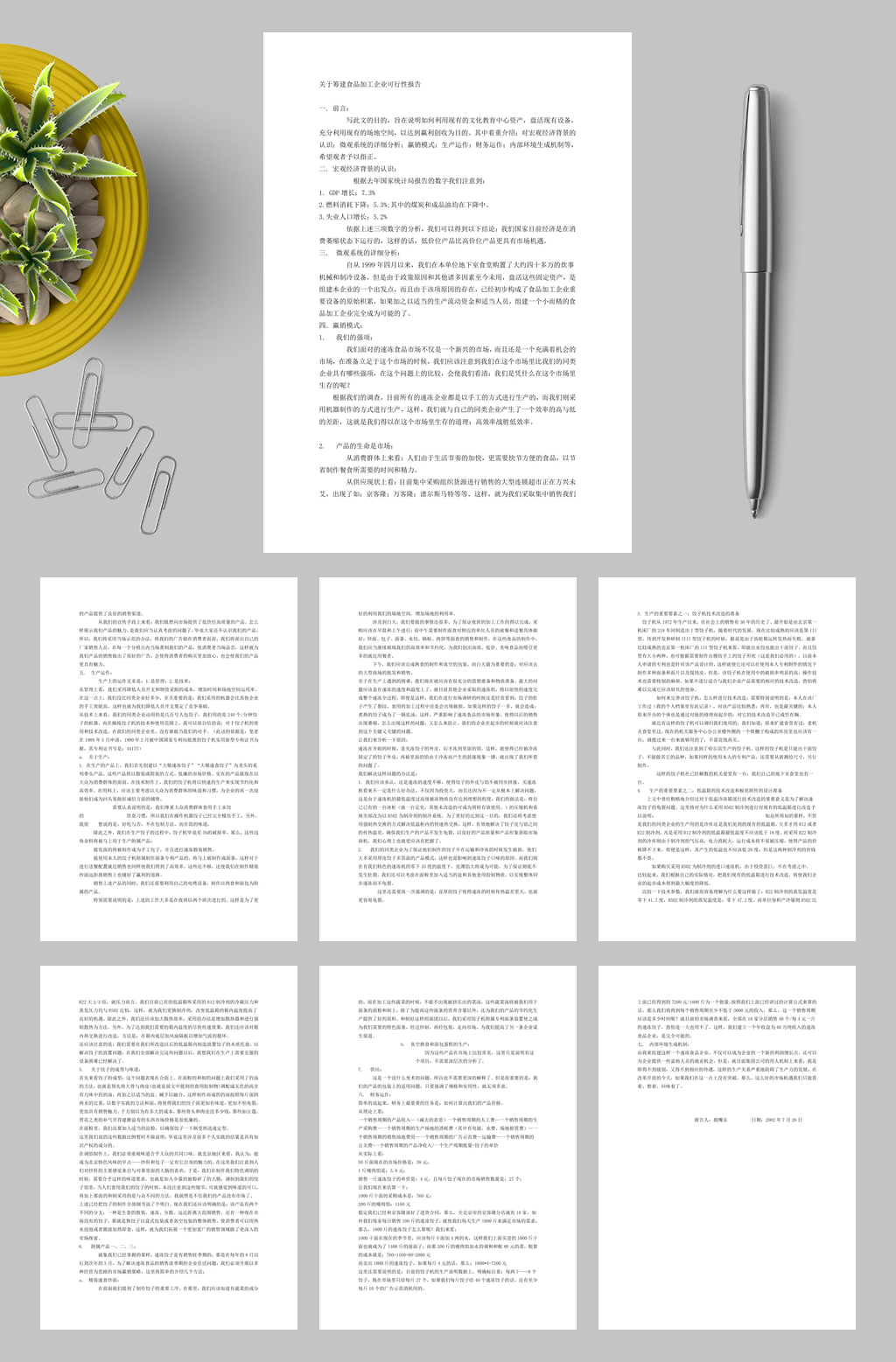 关于筹建食品加工企业可行性报告WORD素材