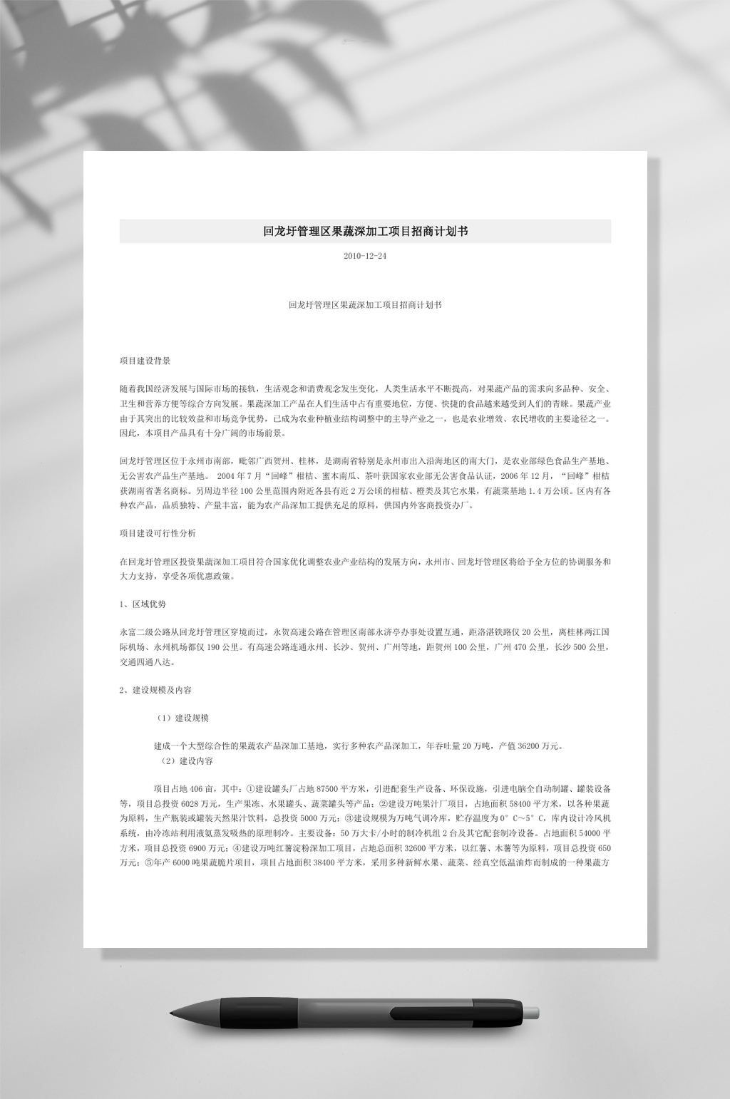 回龙圩管理区果蔬深加工项目招商计划书WORD素材
