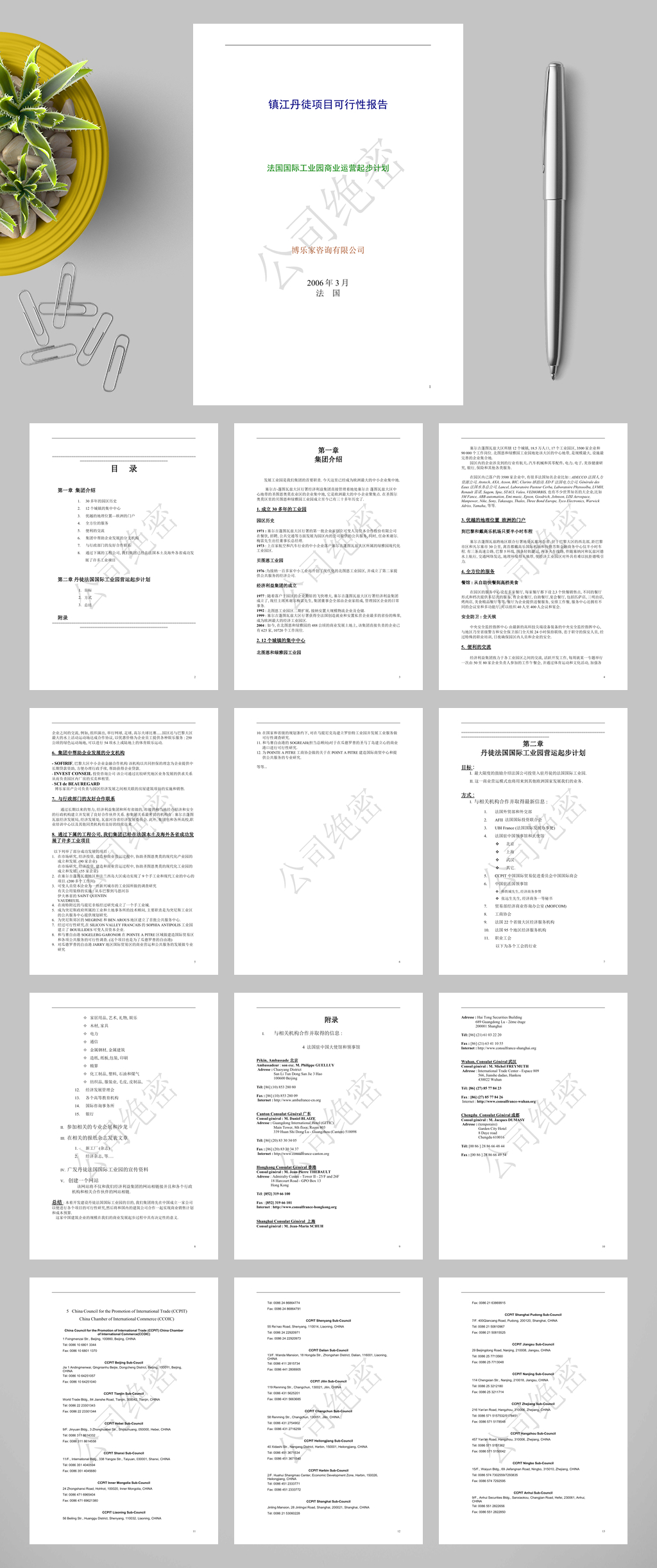 镇江丹徒项目可行性报告WORD素材