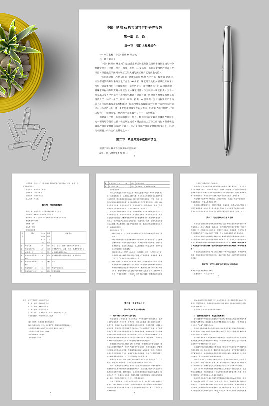 扬州xx珠宝城可行性研究报告WORD