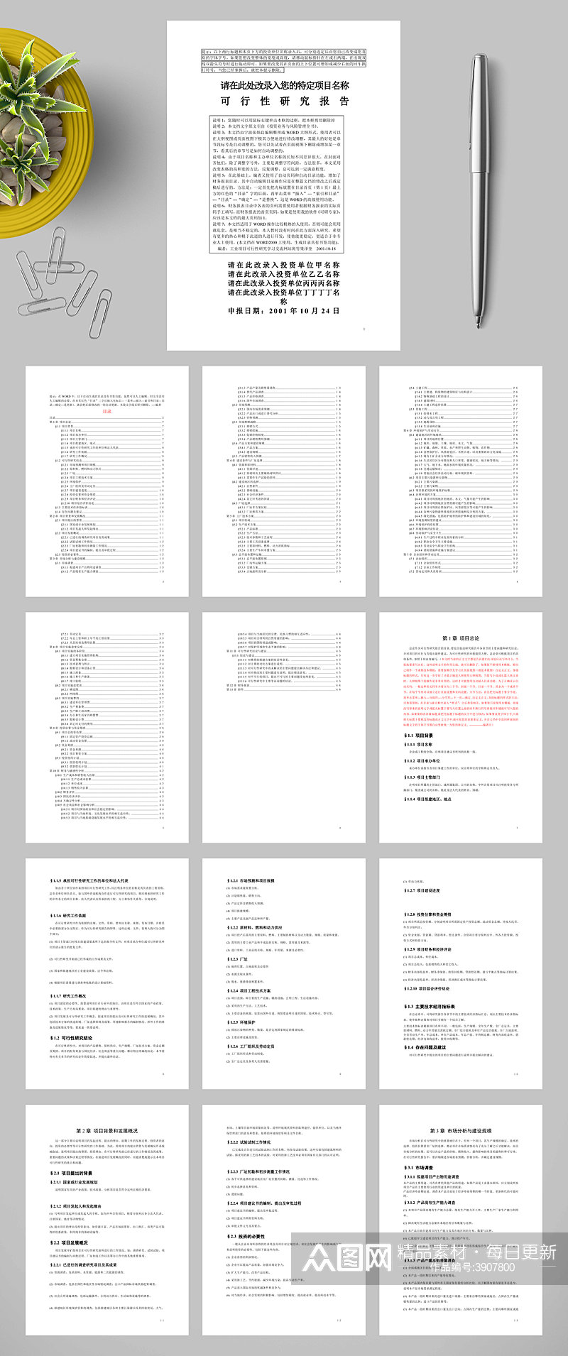 项目可行性研究报告文字模板WORD素材