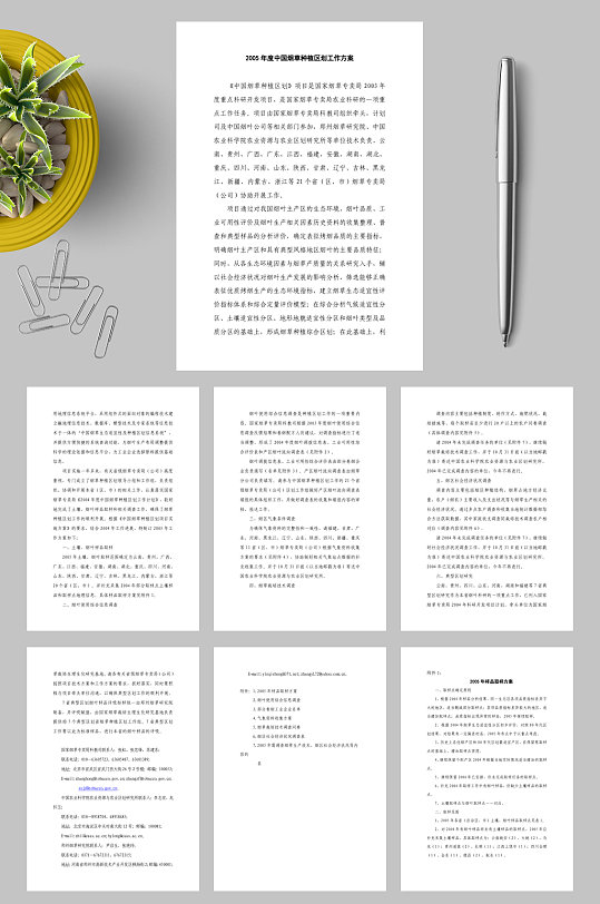 中国烟草种植区划工作方案WORD