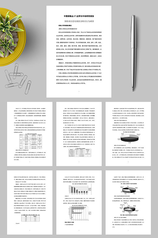 中国保险行业IT应用与市场研究报告WORD