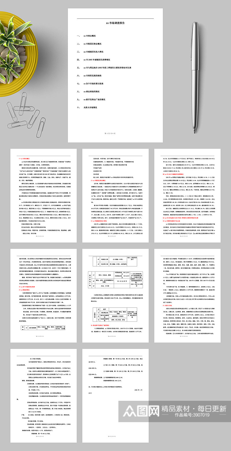简约xx市场调查报告WORD素材
