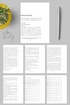 导航灯软件项目可行性研究报告WORD