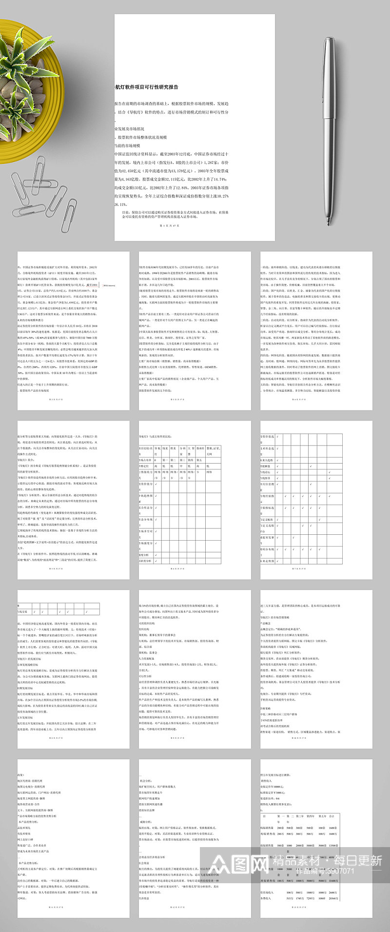 导航灯软件项目可行性研究报告WORD素材