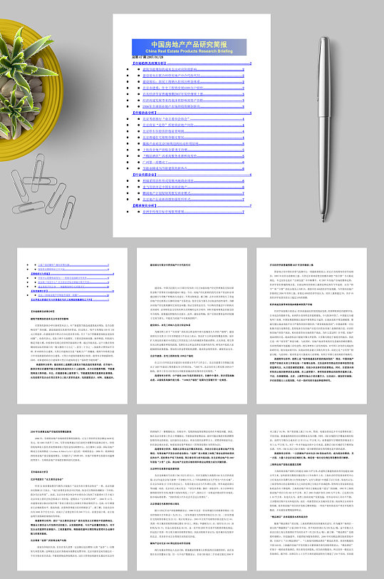 中国房地产产品研究简报WORD
