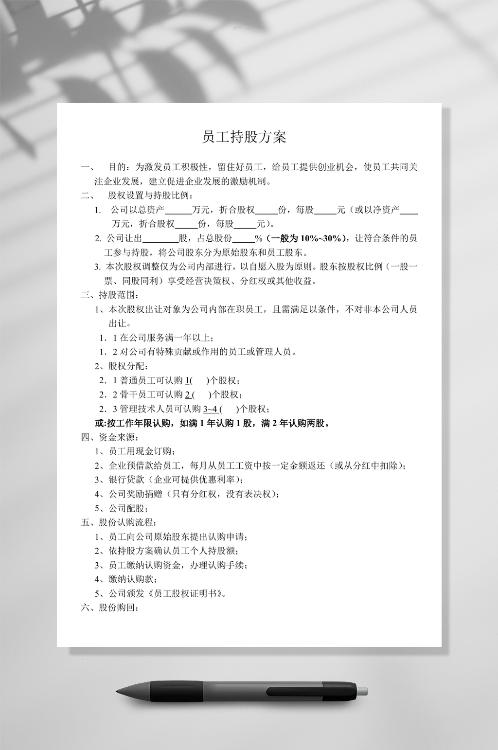 创意员工持股方案WORD素材