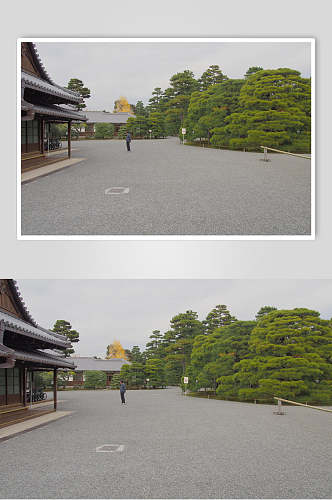 简约大气树木日式庭院图片