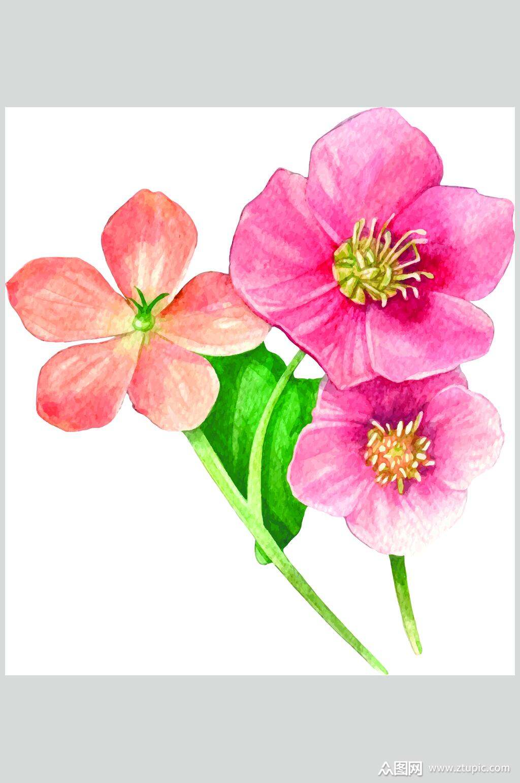 创意时尚水彩花卉植物图案矢量素材素材