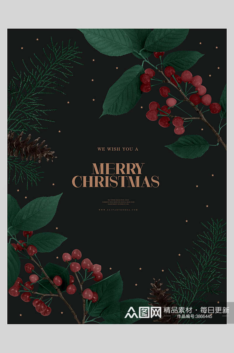 简欧黑色野果创意圣诞海报素材