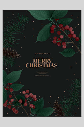 简欧黑色野果创意圣诞海报