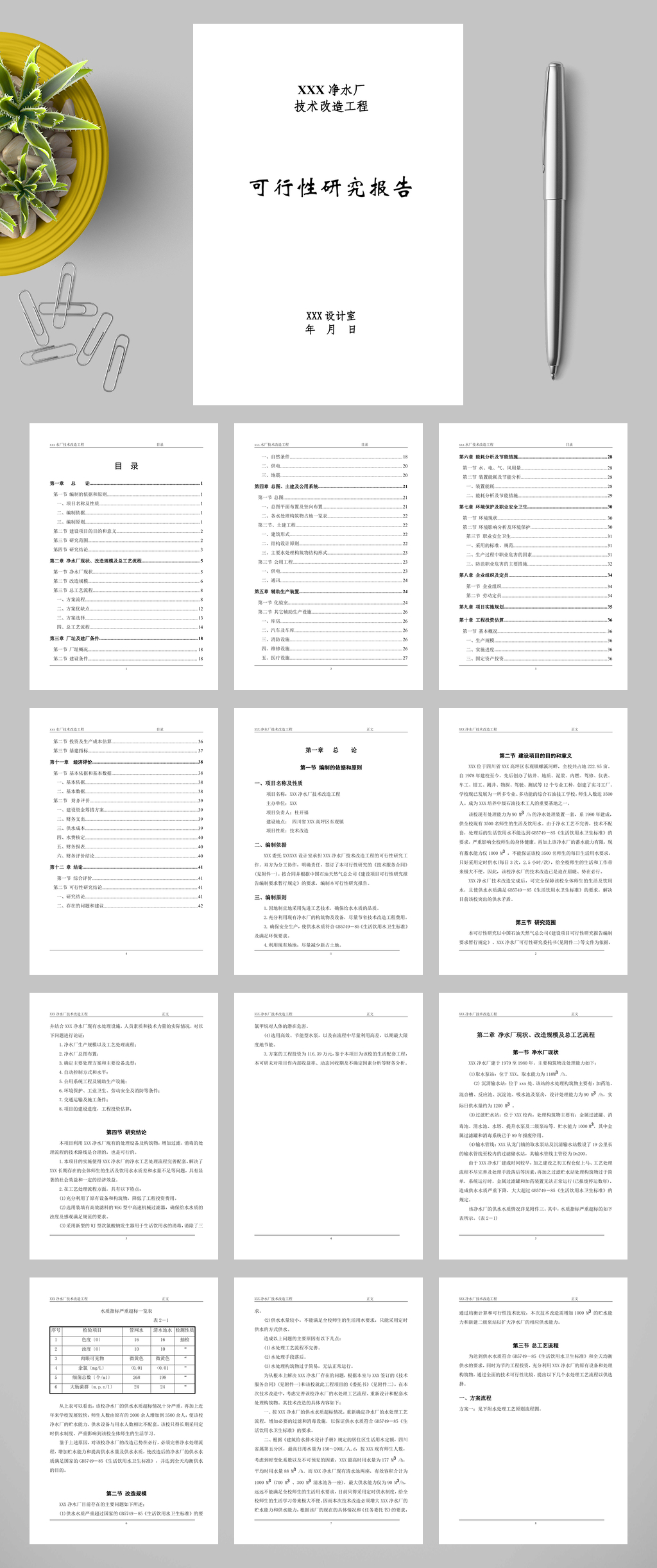 简约水厂可研WORD素材