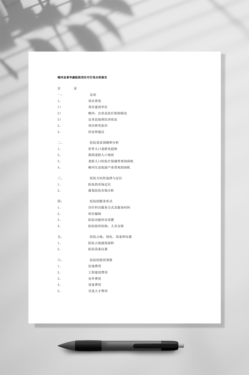 郴州宜章华康医院项目可行性分析报告WORD素材