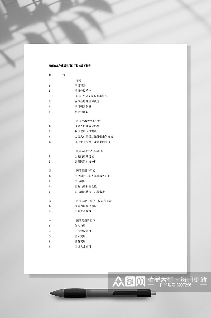 郴州宜章华康医院项目可行性分析报告WORD素材