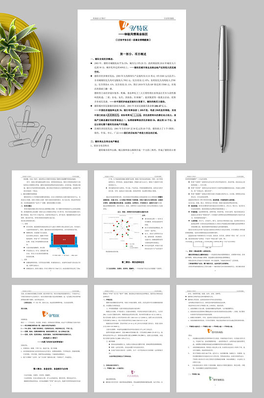 德阳风情街商业策划书WORD