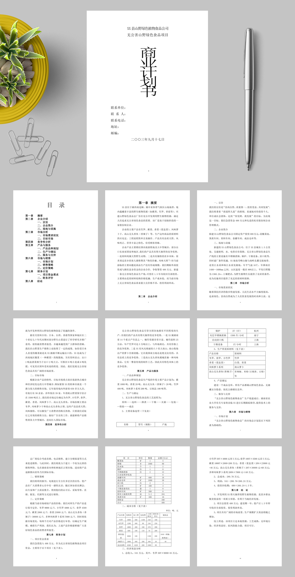 无公害山野绿色食品项目商业计划书WORD素材