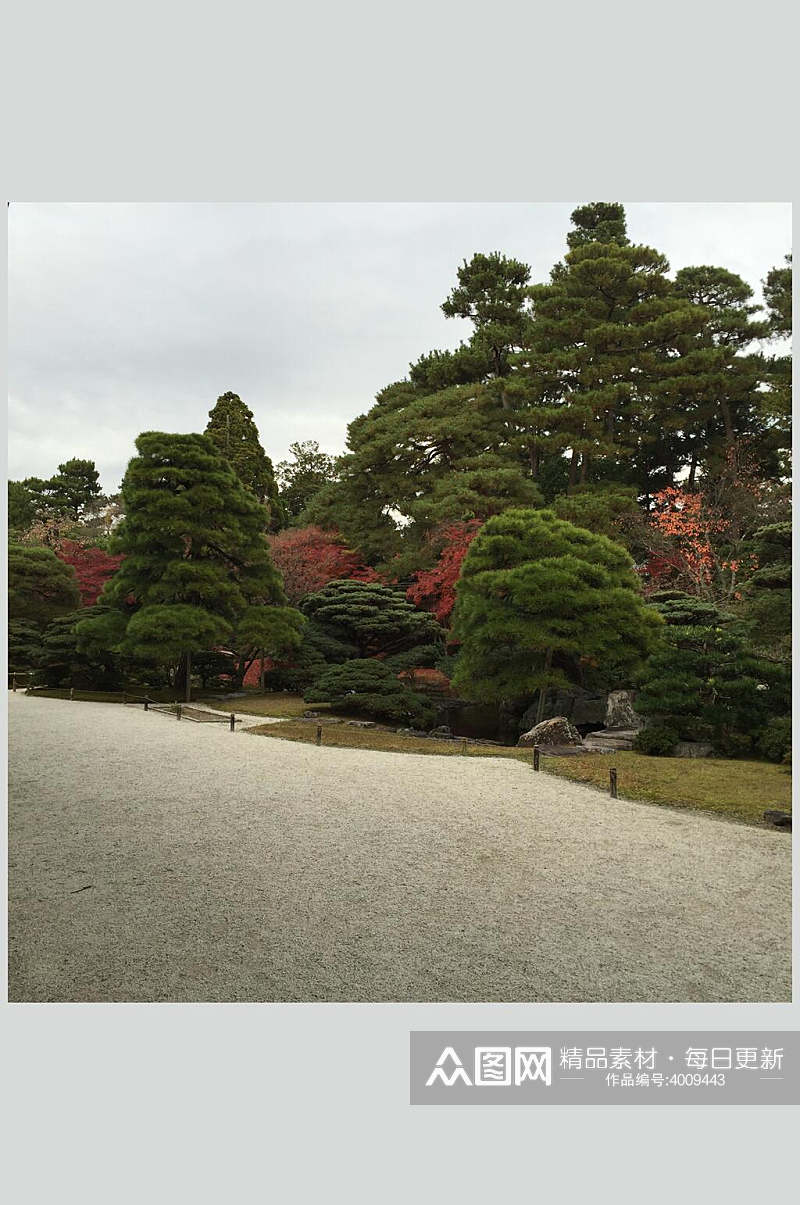 植物松户外红树日式庭院图片素材