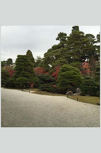 植物松户外红树日式庭院图片