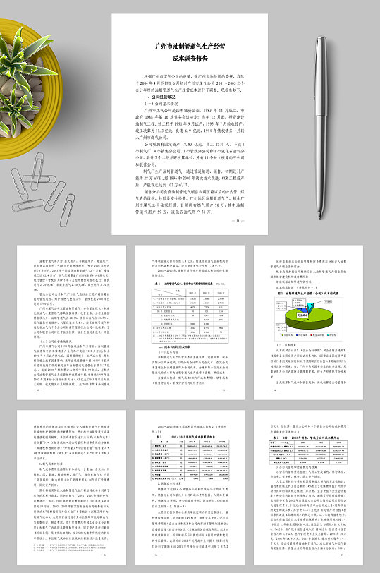 广州成品油调查报告WORD