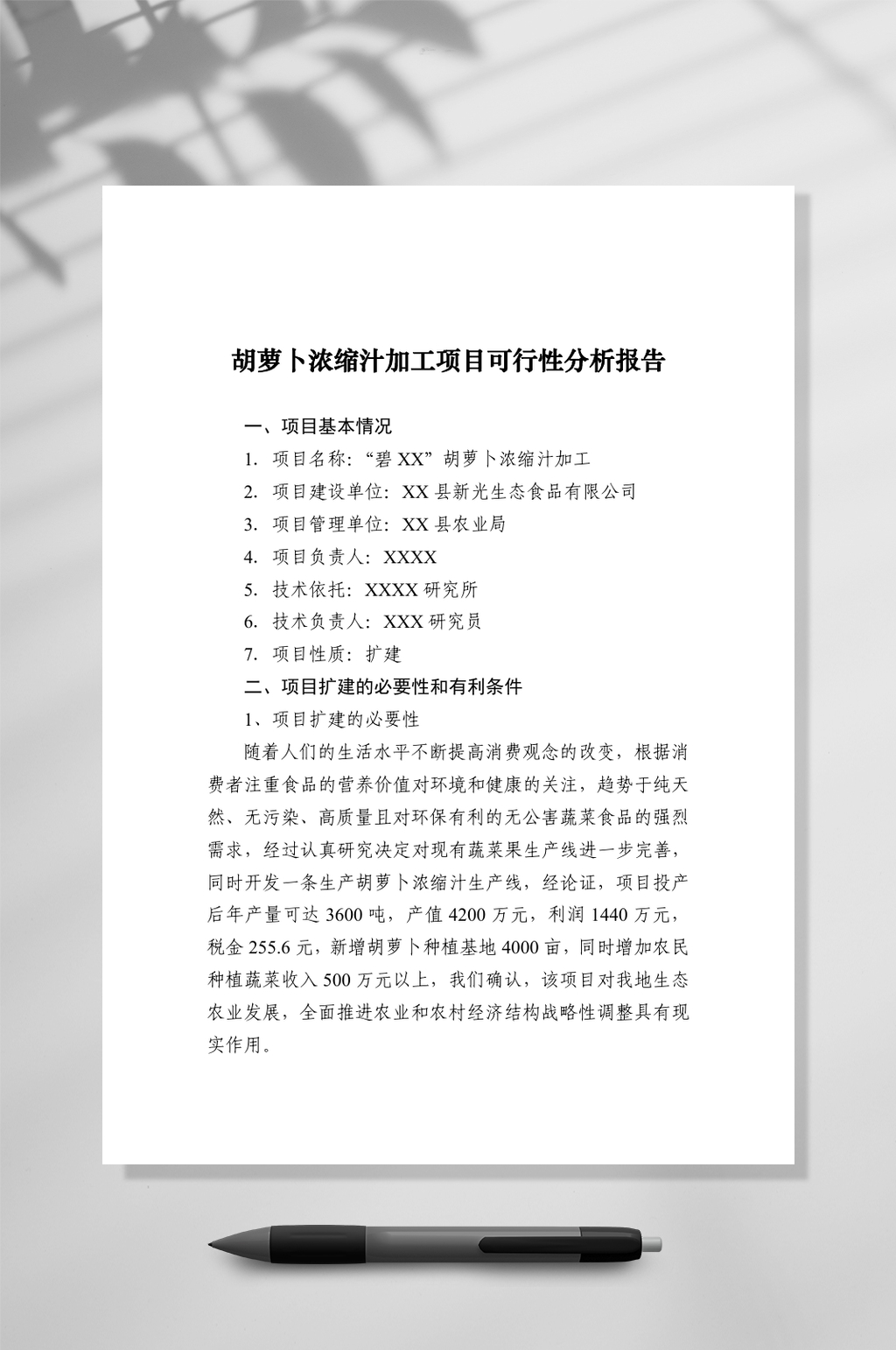 胡萝卜浓缩汁加工项目可行性分析报告WORD素材