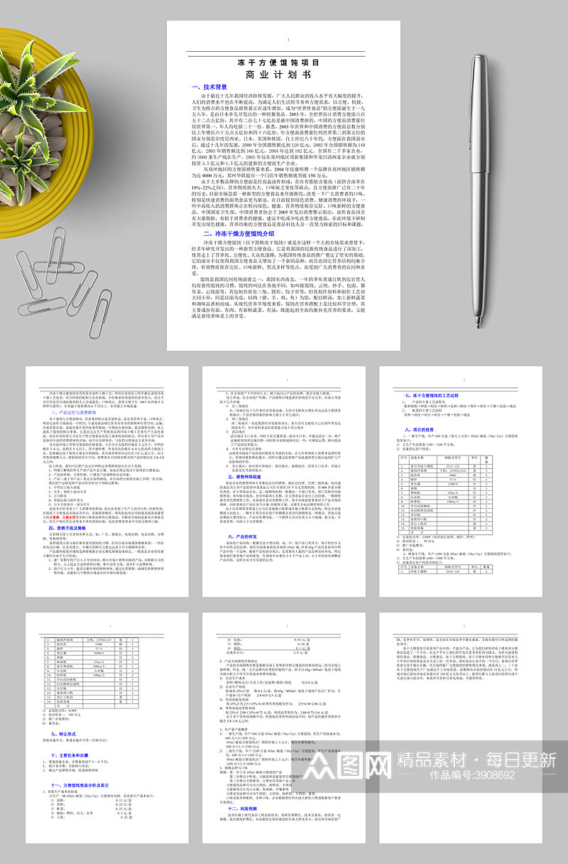 冻干方便馄饨项目商业计划书WORD素材