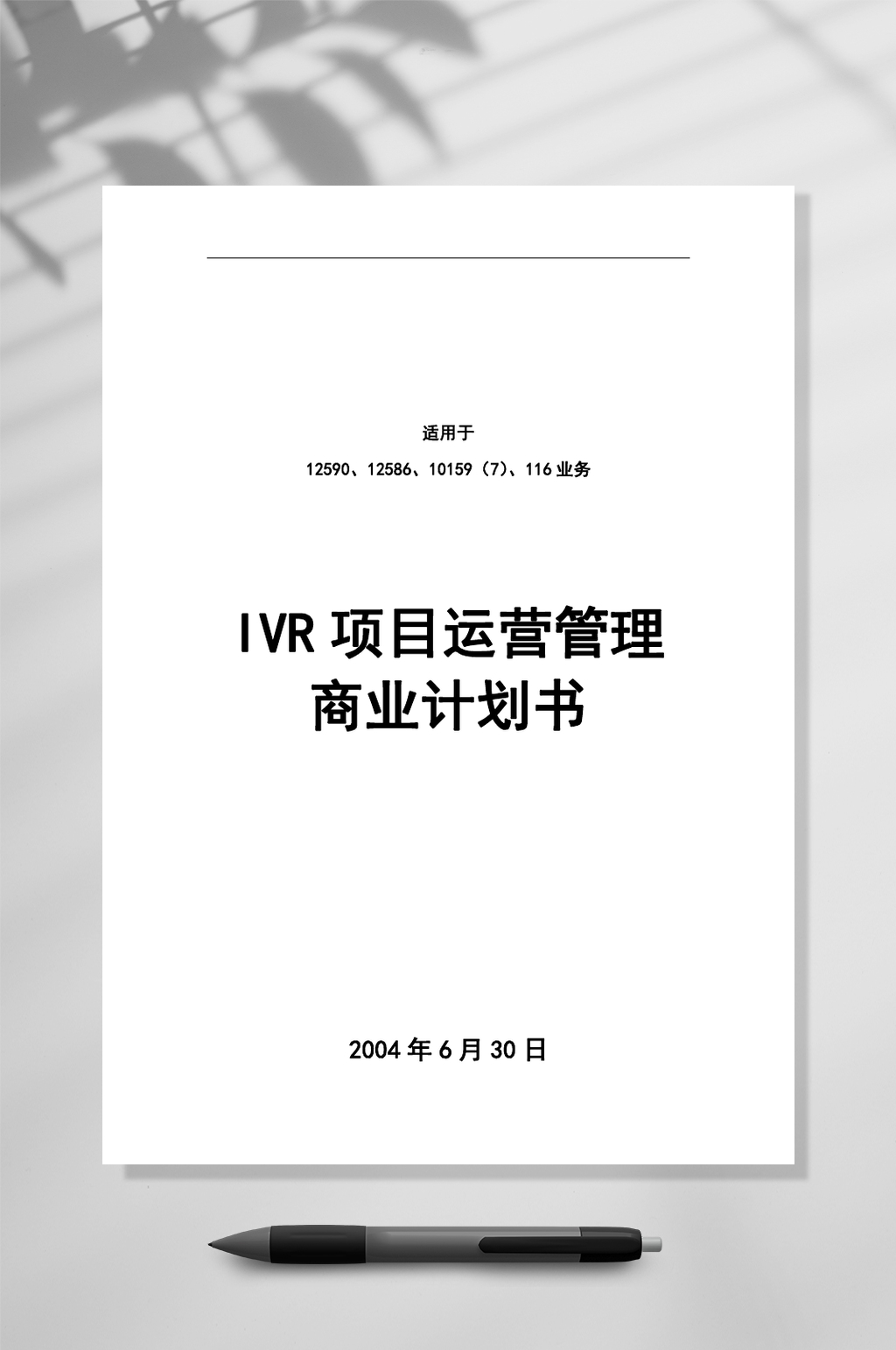 IVR项目运营管理商业计划书WORD素材