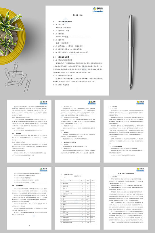 新疆玉米种子产业化可研报告secretWORD