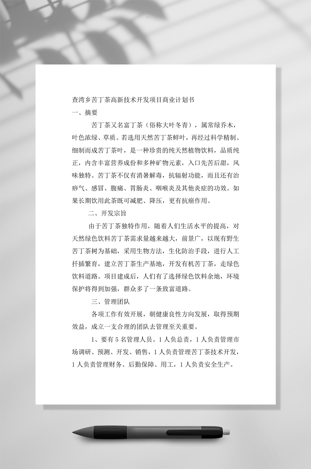 查湾乡苦丁茶高新技术开发项目商业计划书WORD素材
