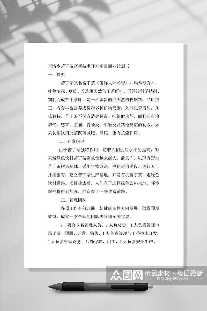 查湾乡苦丁茶高新技术开发项目商业计划书WORD素材