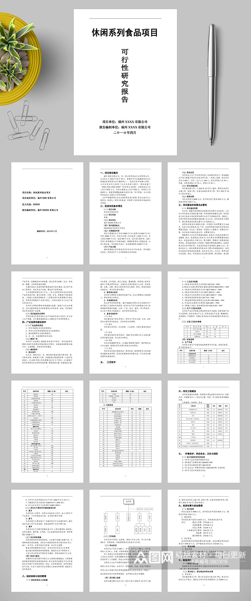 休闲系列食品项目可行性报告WORD素材